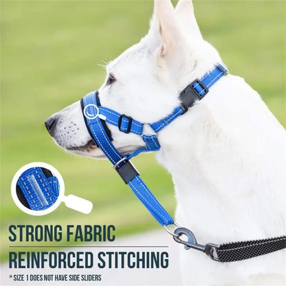 ZFpTYF4uJpd4ZlT.webp