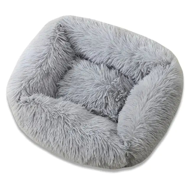 lvWUM2kT4KV5Iev.webp
